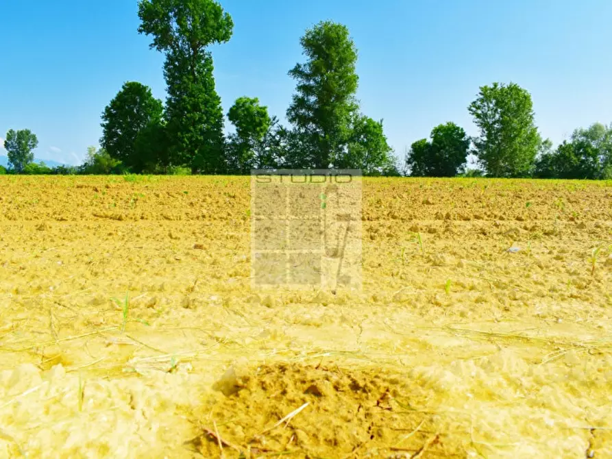 Immagine 9 di Terreno in vendita  in via Rio Bianco a Santa Giustina In Colle