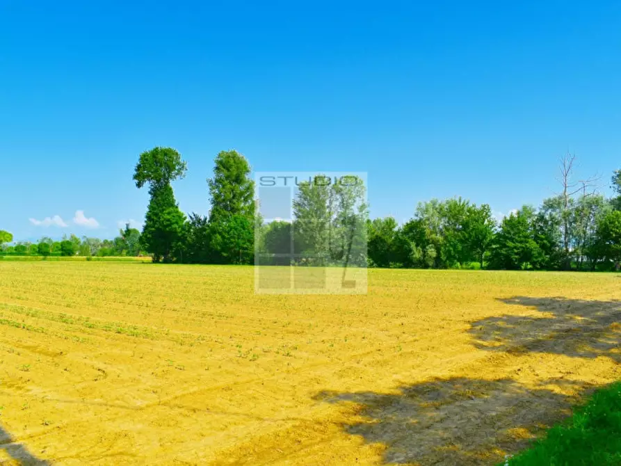 Immagine 10 di Terreno in vendita  in via Rio Bianco a Santa Giustina In Colle