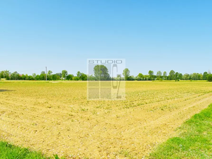Immagine 11 di Terreno in vendita  in via Rio Bianco a Santa Giustina In Colle