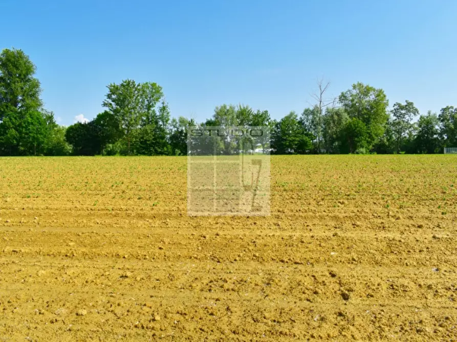 Immagine 12 di Terreno in vendita  in via Rio Bianco a Santa Giustina In Colle