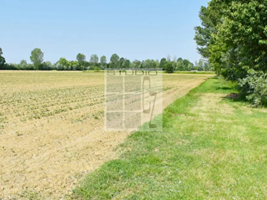 Immagine 14 di Terreno in vendita  in via Rio Bianco a Santa Giustina In Colle