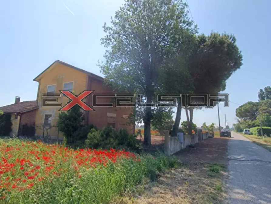 Immagine 1 di Casa indipendente in vendita  in c.so Risorgimento 160 Porto Viro (RO) a Taglio Di Po