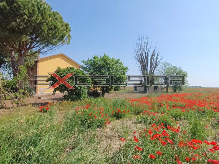 Immagine 2 di Casa indipendente in vendita  in c.so Risorgimento 160 Porto Viro (RO) a Taglio Di Po