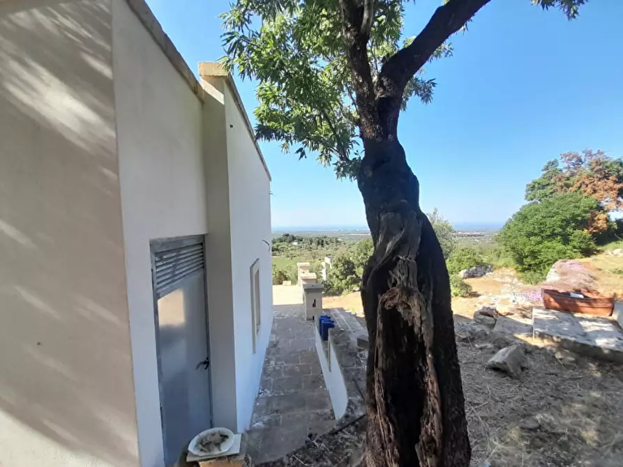 Immagine 21 di Villa in vendita  in C.da Li Cuti a Ostuni