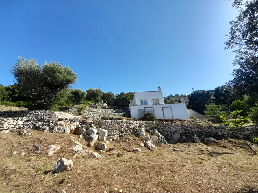 Immagine 26 di Villa in vendita  in C.da Li Cuti a Ostuni