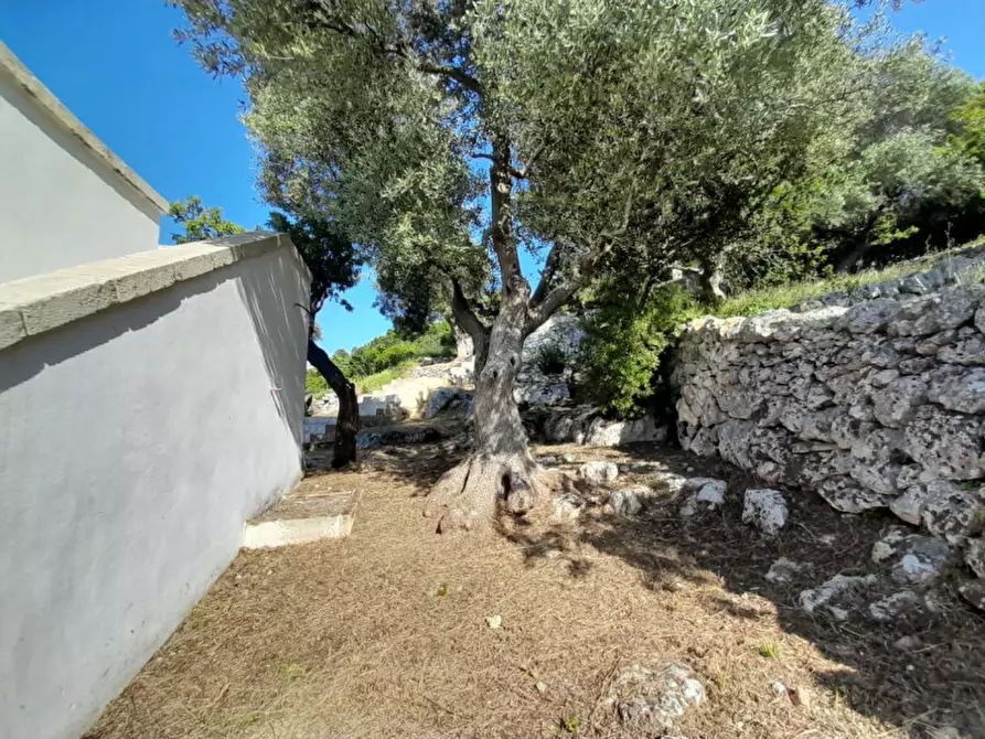 Immagine 28 di Villa in vendita  in C.da Li Cuti a Ostuni