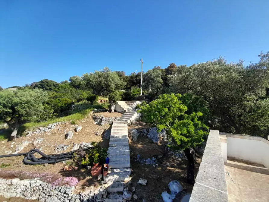 Immagine 29 di Villa in vendita  in C.da Li Cuti a Ostuni