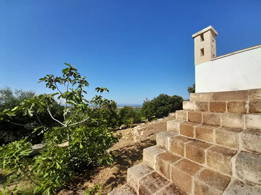 Immagine 30 di Villa in vendita  in C.da Li Cuti a Ostuni