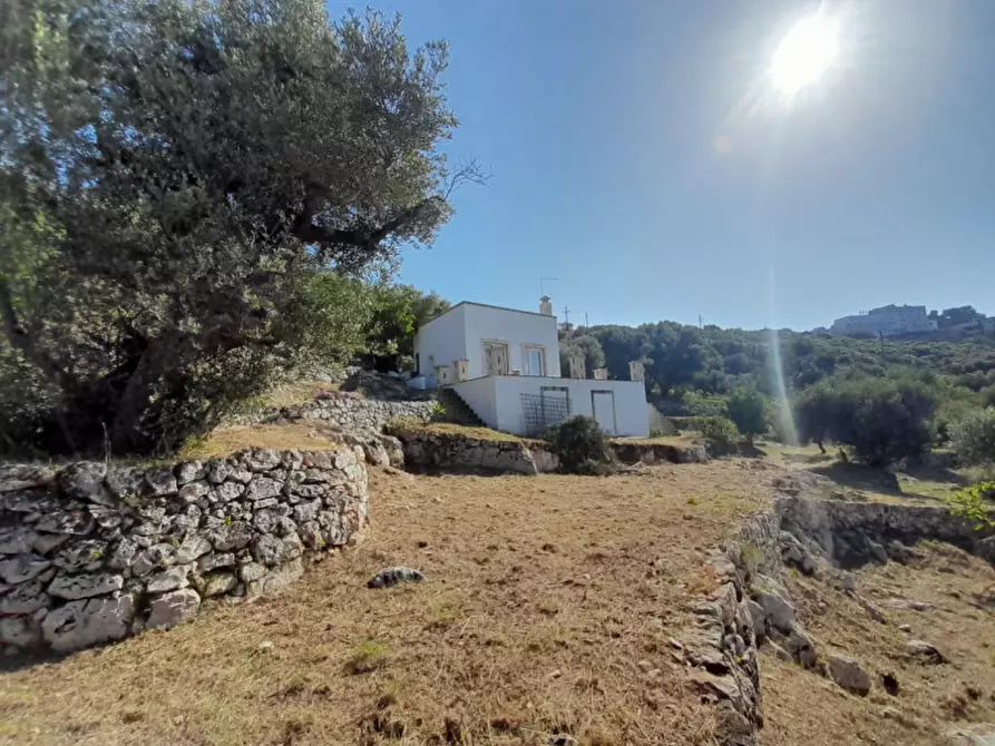 Immagine 32 di Villa in vendita  in C.da Li Cuti a Ostuni