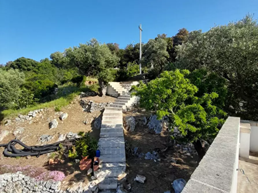 Immagine 33 di Villa in vendita  in C.da Li Cuti a Ostuni