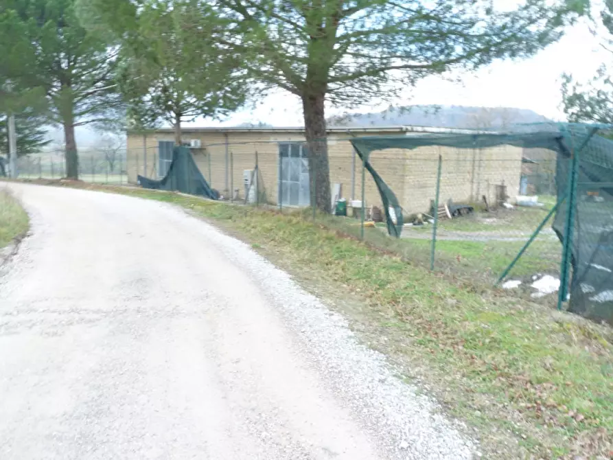 Immagine 5 di Terreno in vendita  in Ponticelli a Città Della Pieve