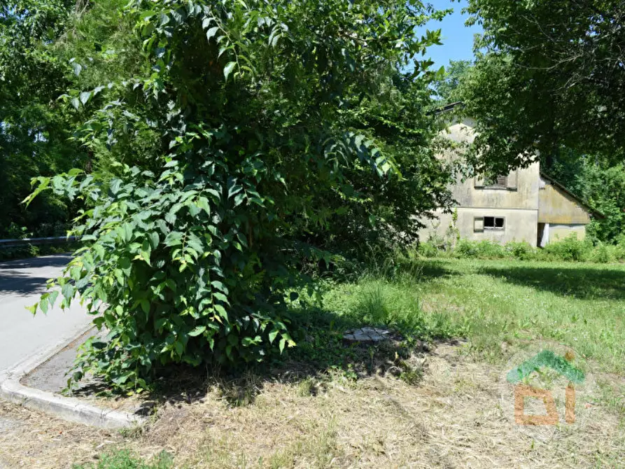 Immagine 6 di Terreno in vendita  in Via Dante Alighieri a Capriva Del Friuli