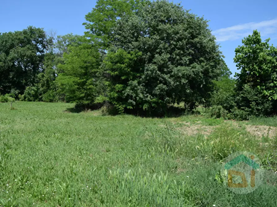 Immagine 15 di Terreno in vendita  in Via Dante Alighieri a Capriva Del Friuli