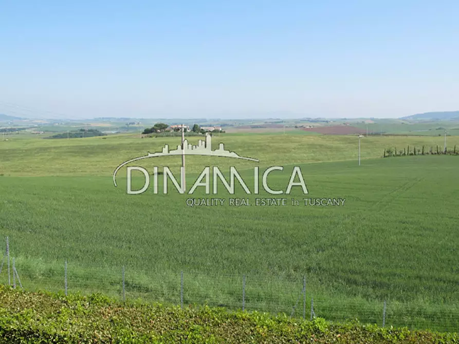 Immagine 3 di Rustico / casale in vendita  a Santa Luce