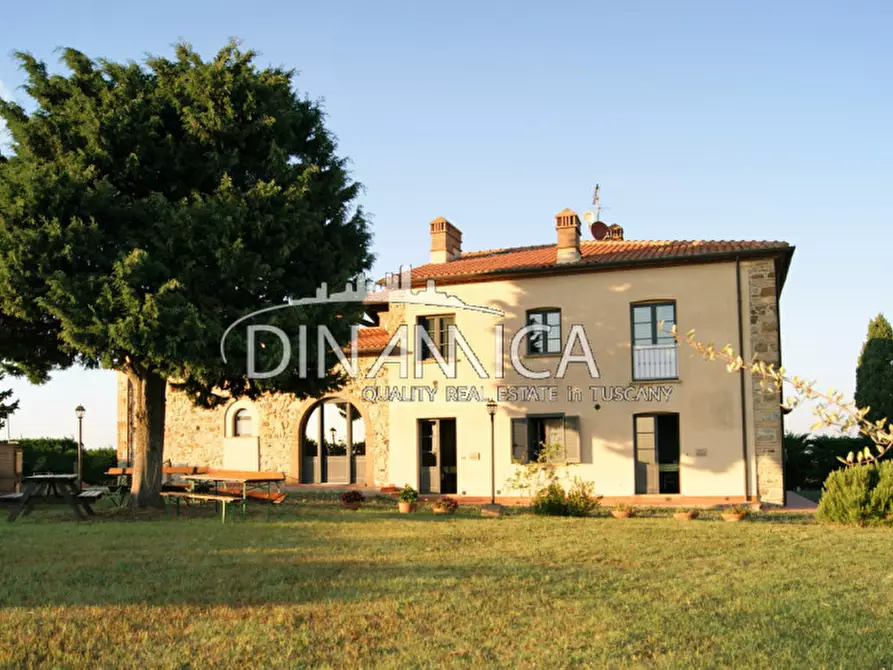 Immagine 6 di Rustico / casale in vendita  a Santa Luce