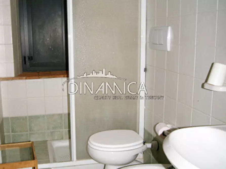 Immagine 40 di Rustico / casale in vendita  a Santa Luce