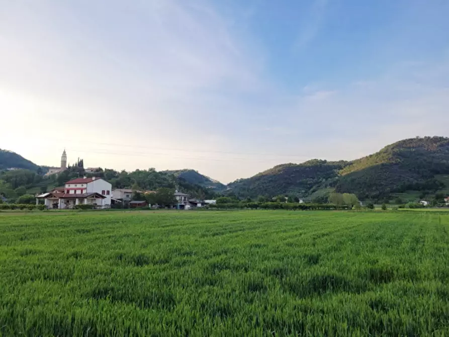 Immagine 2 di Terreno in vendita  in via Bachelet a Galzignano Terme