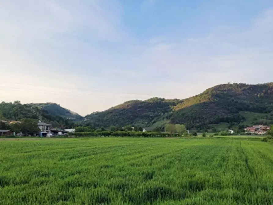 Immagine 3 di Terreno in vendita  in via Bachelet a Galzignano Terme