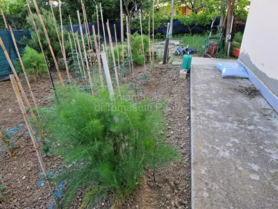 Immagine 23 di Appartamento in vendita  in strada provinciale a Montelabbate