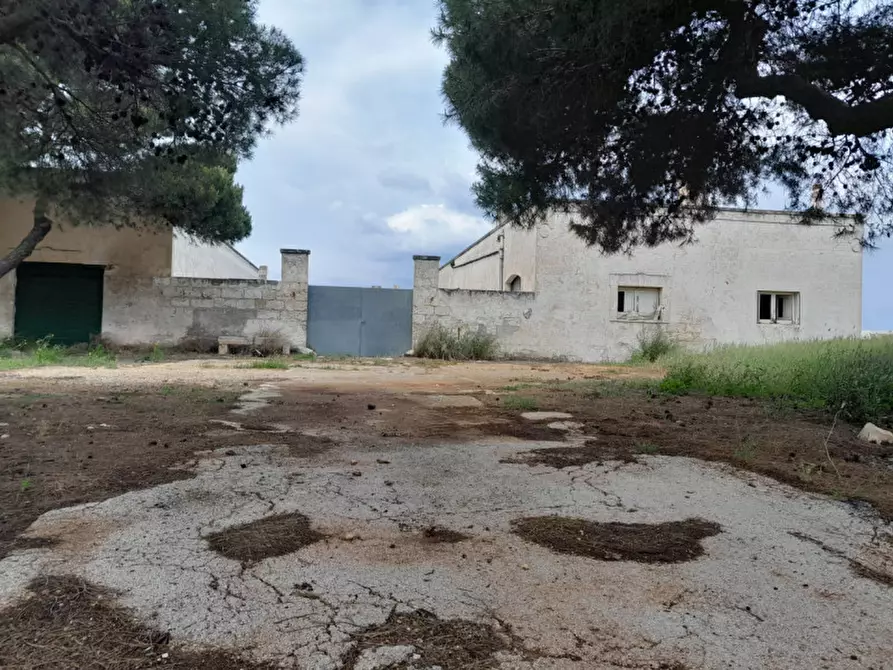 Immagine 1 di Rustico / casale in vendita  in Torre Santa Sabina a Carovigno