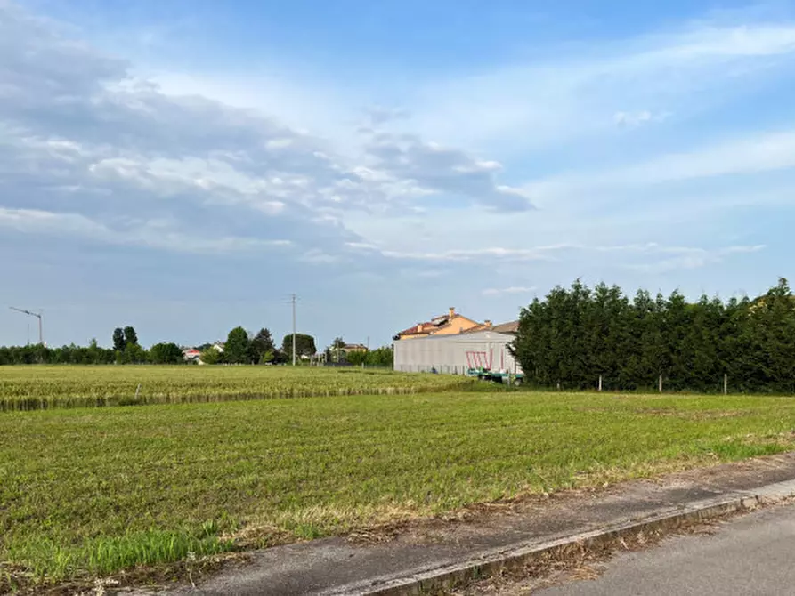 Immagine 3 di Terreno in vendita  in Via San Antonio a Veggiano
