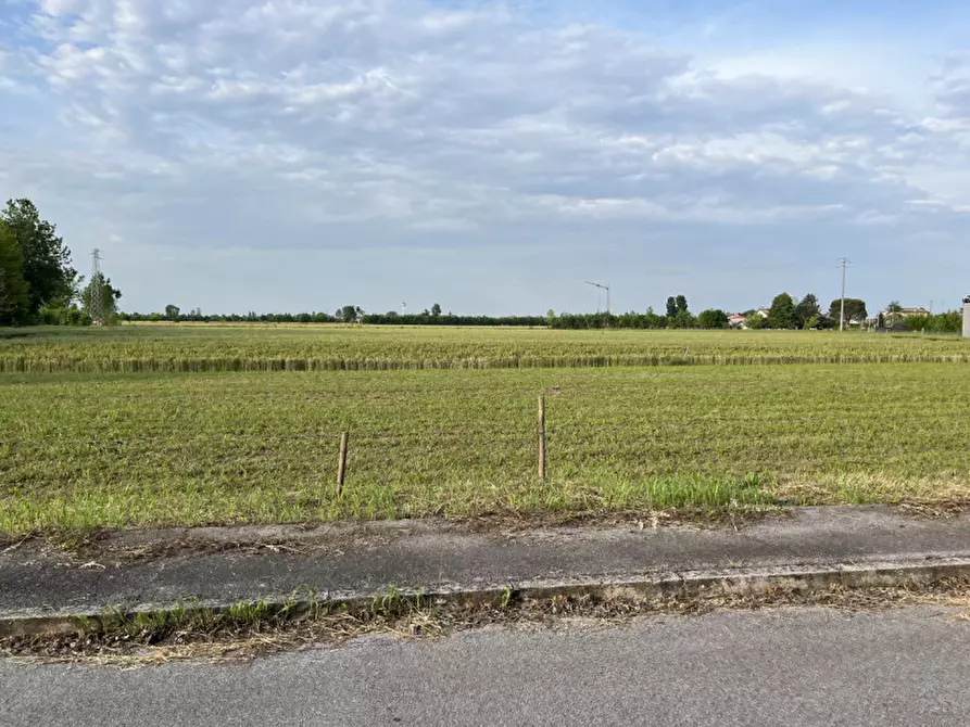 Immagine 5 di Terreno in vendita  in Via San Antonio a Veggiano