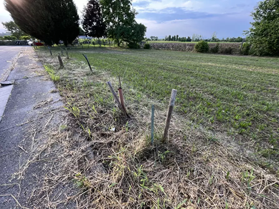Immagine 7 di Terreno in vendita  in Via San Antonio a Veggiano