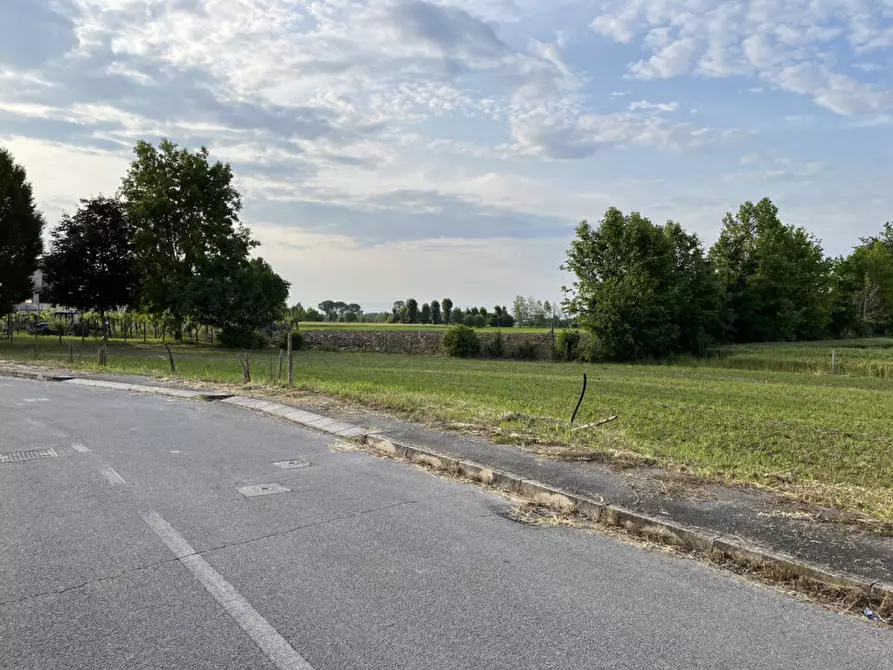 Immagine 8 di Terreno in vendita  in Via San Antonio a Veggiano