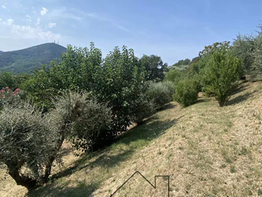 Immagine 32 di Rustico / casale in vendita  in Via caranzolo 3 a Baone