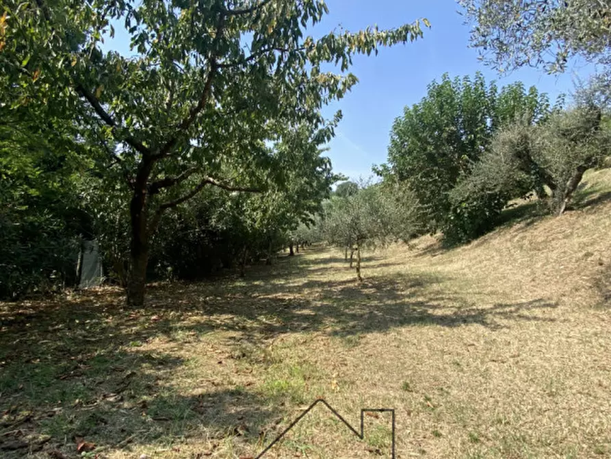 Immagine 33 di Rustico / casale in vendita  in Via caranzolo 3 a Baone