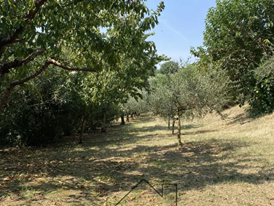 Immagine 34 di Rustico / casale in vendita  in Via caranzolo 3 a Baone