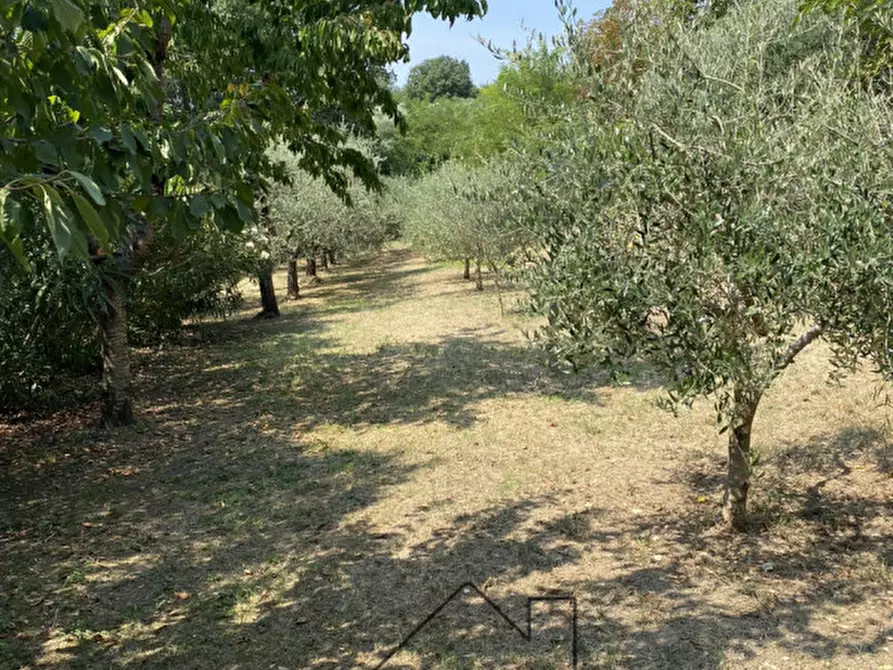 Immagine 35 di Rustico / casale in vendita  in Via caranzolo 3 a Baone