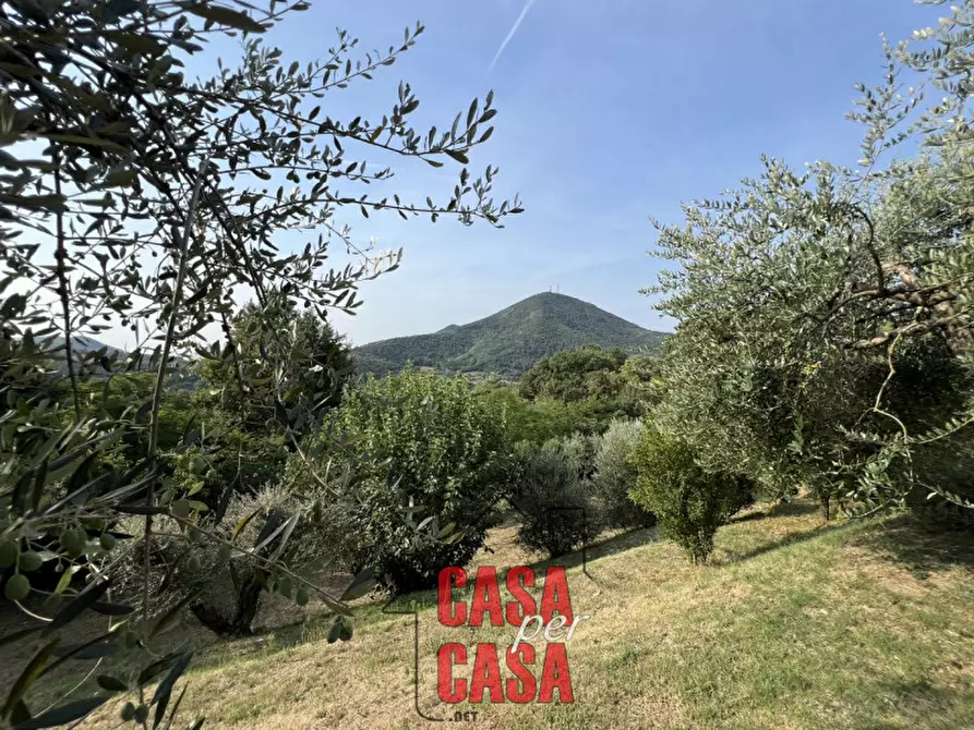 Immagine 38 di Rustico / casale in vendita  in Via caranzolo 3 a Baone