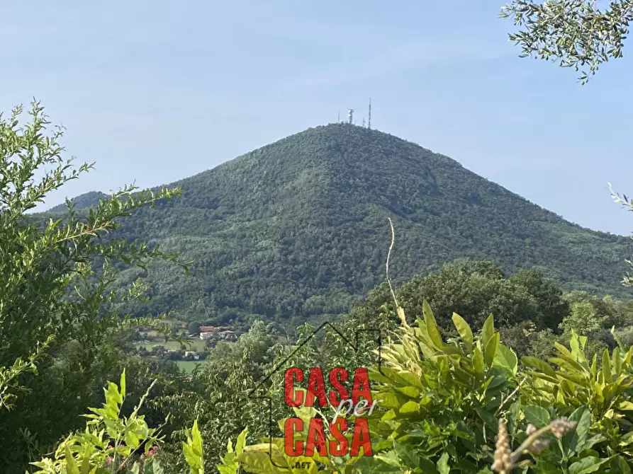 Immagine 39 di Rustico / casale in vendita  in Via caranzolo 3 a Baone