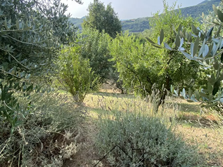 Immagine 41 di Rustico / casale in vendita  in Via caranzolo 3 a Baone