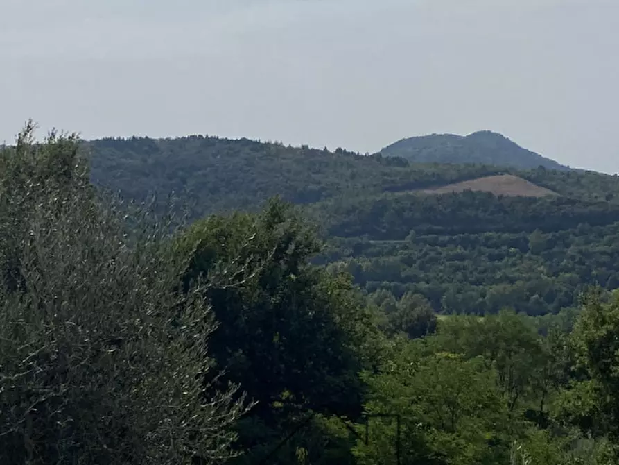 Immagine 43 di Rustico / casale in vendita  in Via caranzolo 3 a Baone