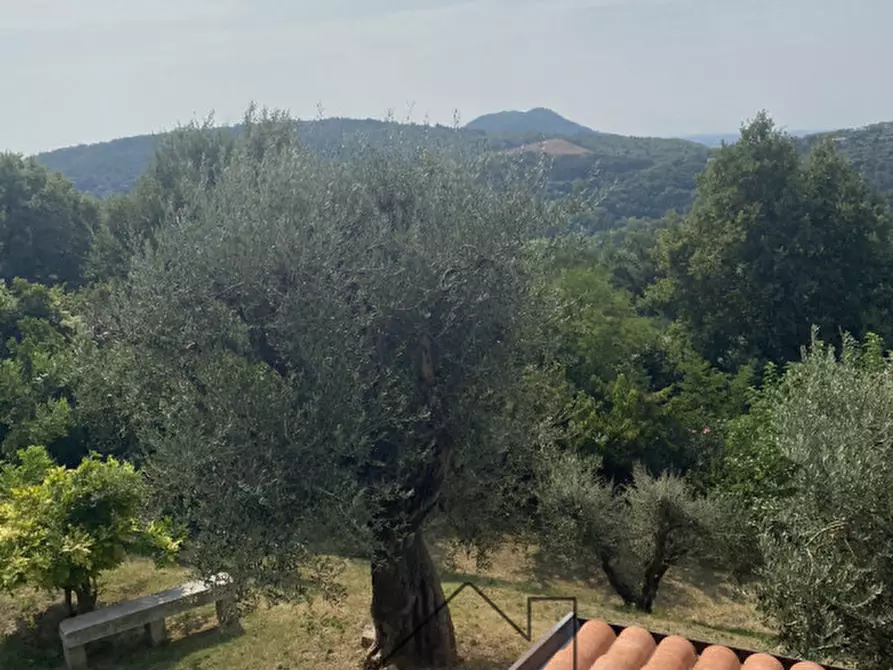 Immagine 44 di Rustico / casale in vendita  in Via caranzolo 3 a Baone