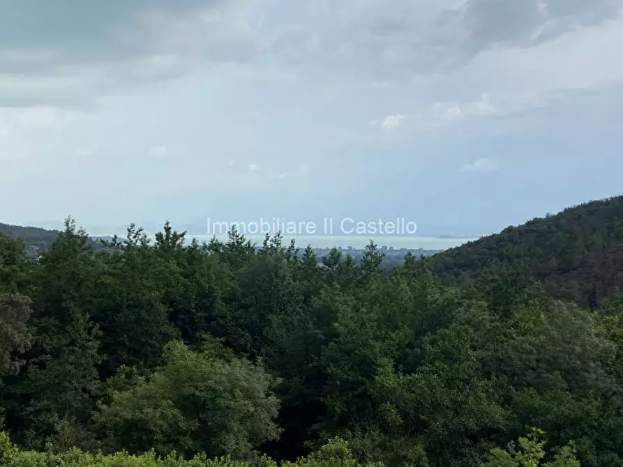 Immagine 21 di Casa indipendente in vendita  a Tuoro Sul Trasimeno