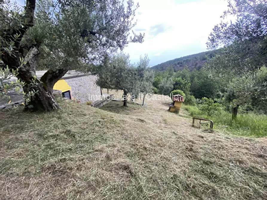 Immagine 26 di Casa indipendente in vendita  a Tuoro Sul Trasimeno