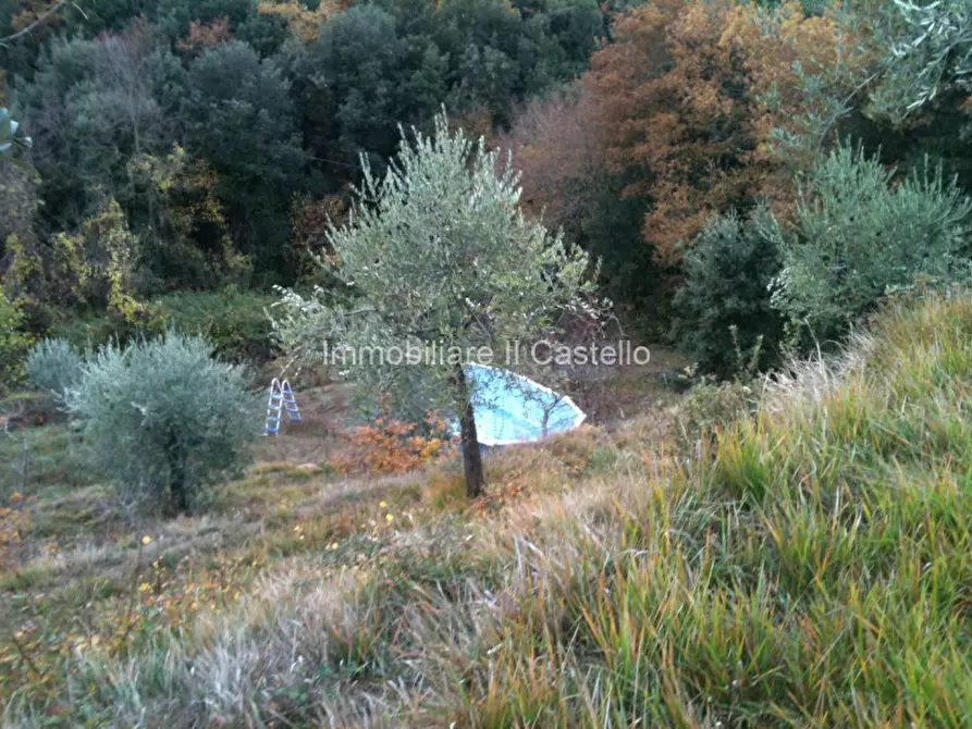 Immagine 33 di Casa indipendente in vendita  a Tuoro Sul Trasimeno