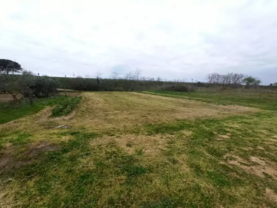 Immagine 1 di Terreno in vendita  in Via Roma, Castiglione del lago a Castiglione Del Lago