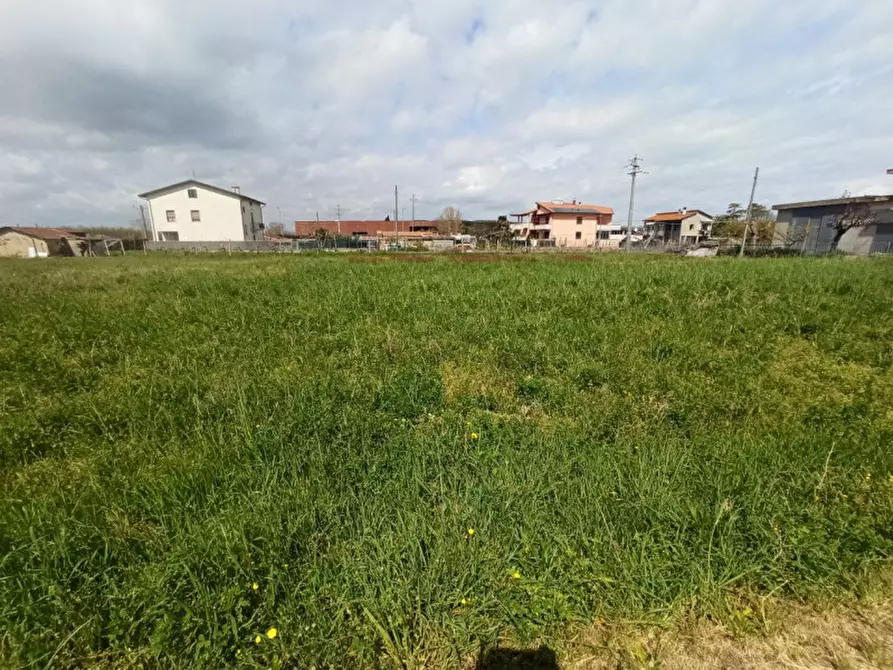 Immagine 8 di Terreno in vendita  in Via Roma, Castiglione del lago a Castiglione Del Lago