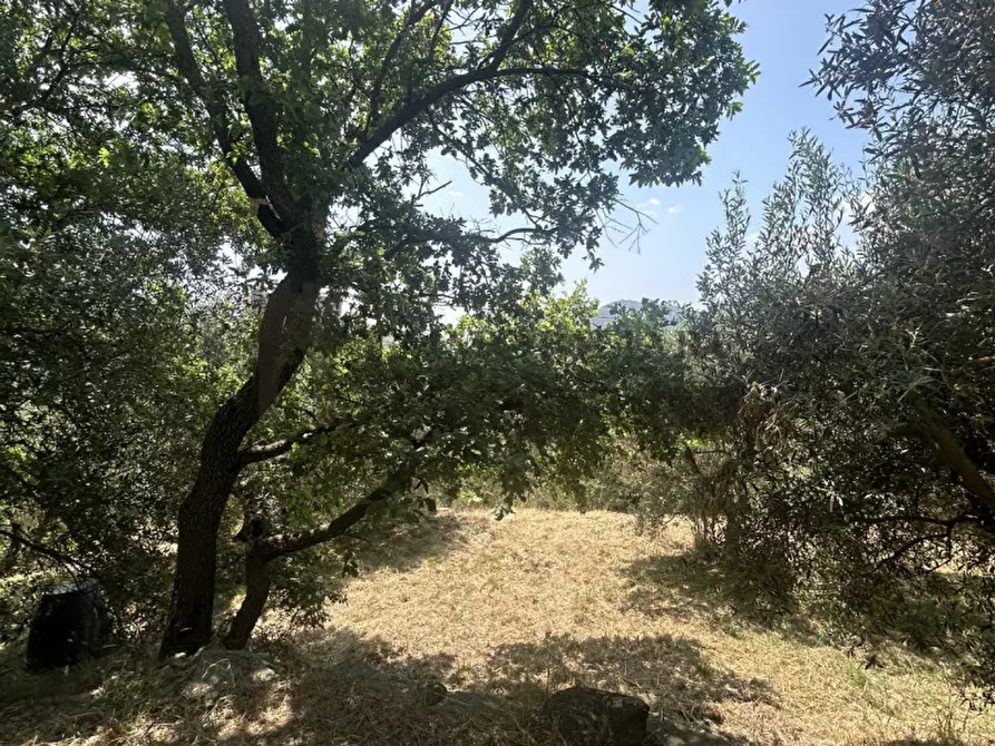 Immagine 34 di Casa indipendente in vendita  a Panicale