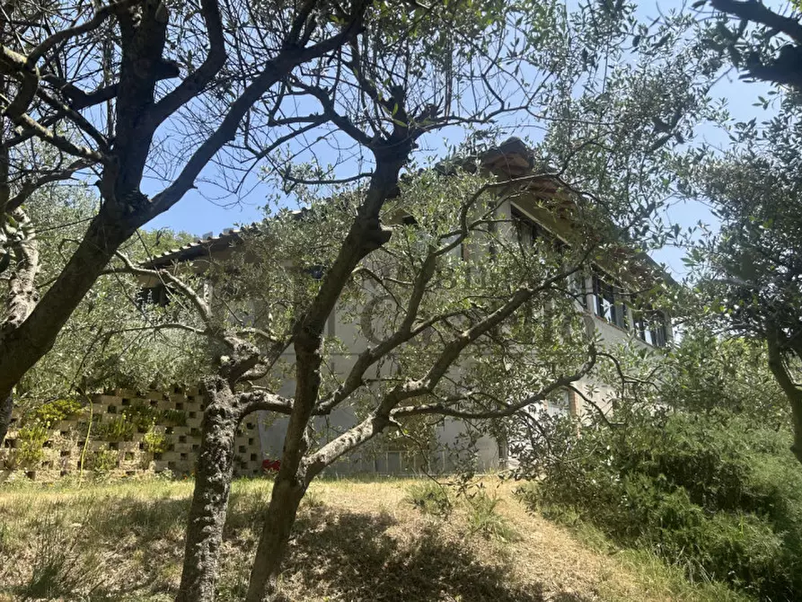 Immagine 34 di Casa indipendente in vendita  a Panicale