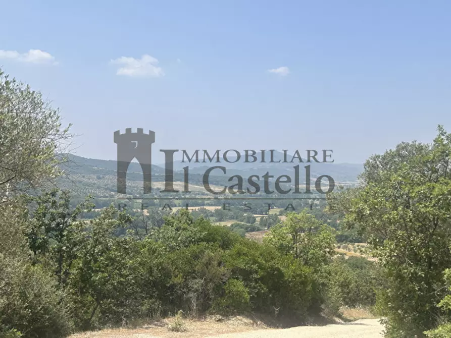 Immagine 38 di Casa indipendente in vendita  a Panicale