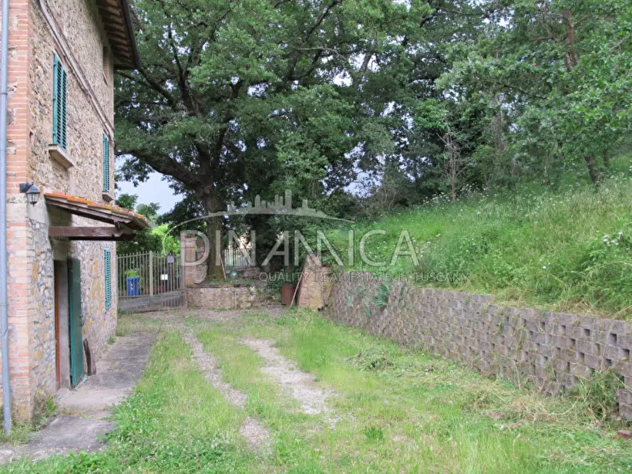 Immagine 20 di Rustico / casale in vendita  a Montaione