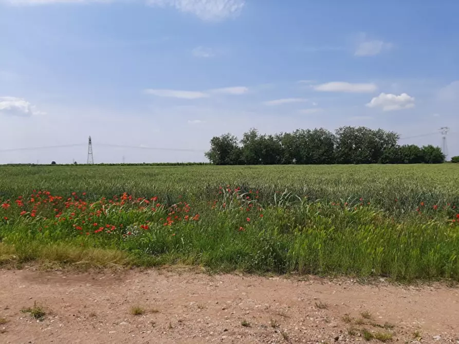 Immagine 10 di Terreno in vendita  a Valeggio Sul Mincio