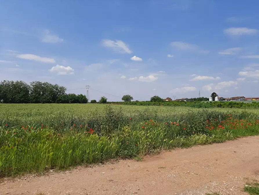 Immagine 12 di Terreno in vendita  a Valeggio Sul Mincio