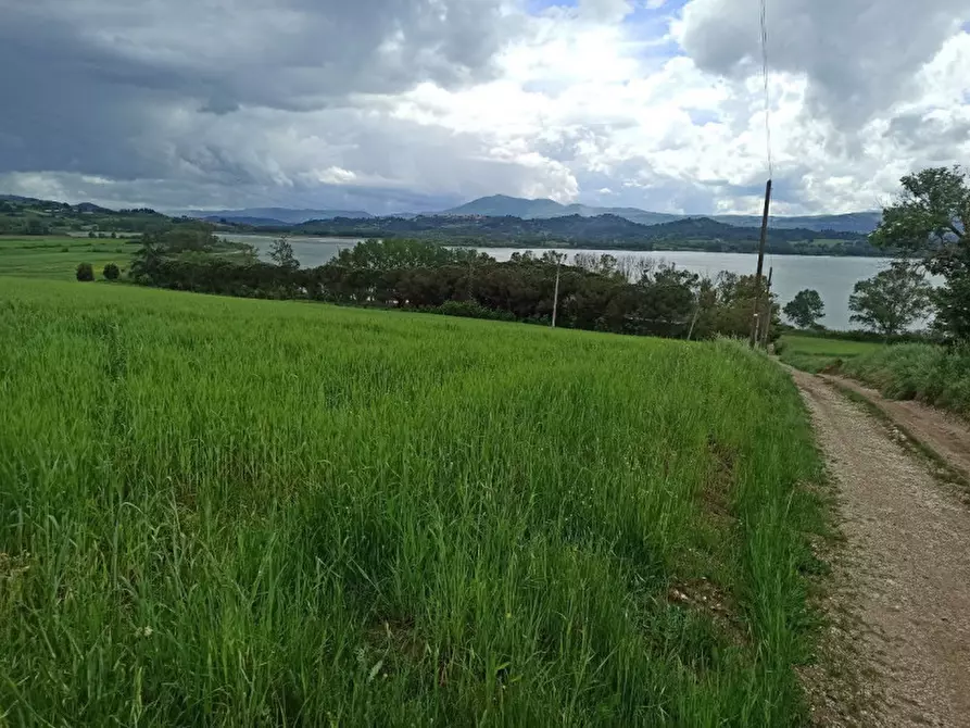 Immagine 9 di Rustico / casale in vendita  a Castiglione Del Lago