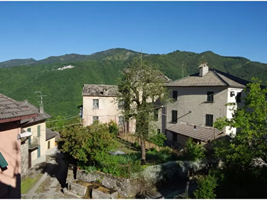 Immagine 7 di Rustico / casale in vendita  in Ascona a Santo Stefano D'aveto